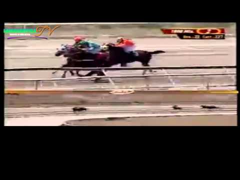 LA RINCONADA 2 CARRERA DOMINGO 23 DE MARZO DEL 2014