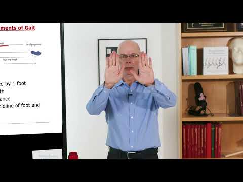 Biomechanics of Movement | Lecture 2.2: The Walking Gait Cycle and Ground Reaction Forces
