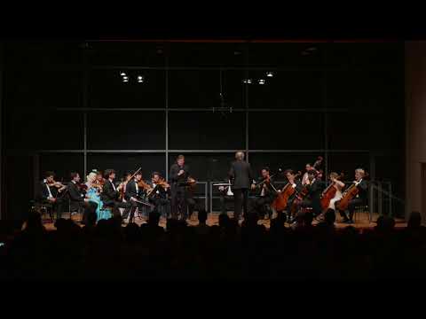 iPalpiti/Schmieder. Schubert – Der Tod und das Maedchen. Wolfgang Holzmair, Baritone