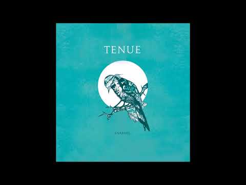 Narrenturm - Tenue