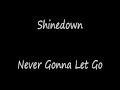 Shinedown - Never Gonna Let Go (New Song July ...
