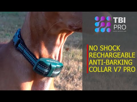 tbi pro bark collar instructions
