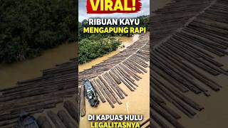 Download lagu Viral! Ribuan Kayu Mengapung Rapi di Kapuas Hulu, Asal-Usul Disorot Publik#feedshorts #facts mp3