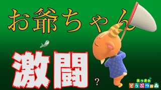 島民がフリーダムすぎてツッコミが追いつかなくなる島【あつまれどうぶつの森 #6】
