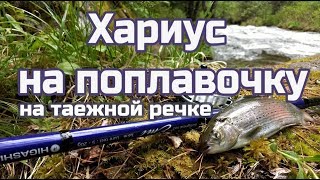 Ссылка