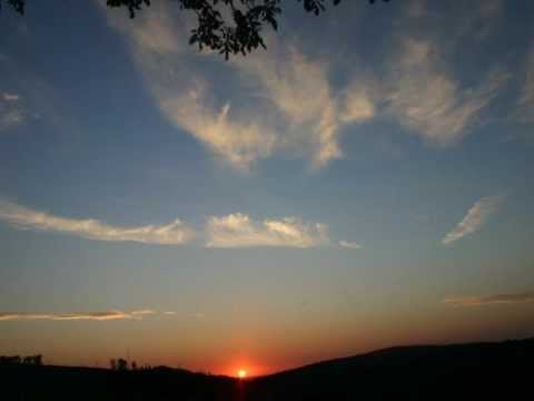 OptiMace - Arthur's Day Off