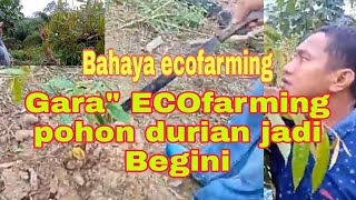 Download lagu Review hasil ecofarming pada pohon Durian lokasi kutim Kaltim (081350001004)WA mp3 Download lagu Review hasil ecofarming pada pohon Durian lokasi kutim Kaltim (081350001004)WA mp3