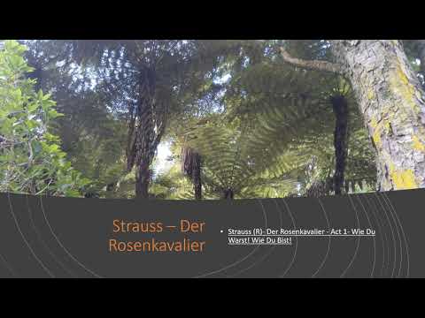 Strauss | Der Rosenkavalier - Act 1