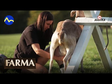 Farma 14 - už teraz na Voyo a vo štvrtok 15. 12. 2022 o 21:55 na TV Markíza