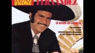 Vicente Fernandez El Jalisciense