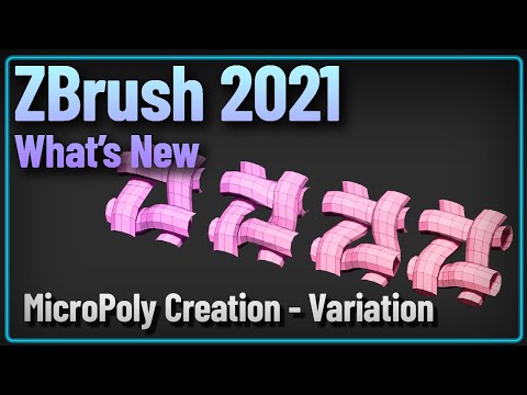 046 ZBrush 2021 Custom MicroPoly Creation Variation Version