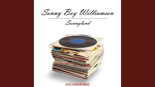 I m Tired Trucking My Blues Away