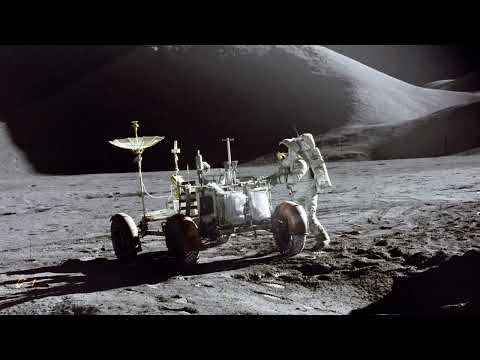 The Primary Views\Progressive\Organic mix