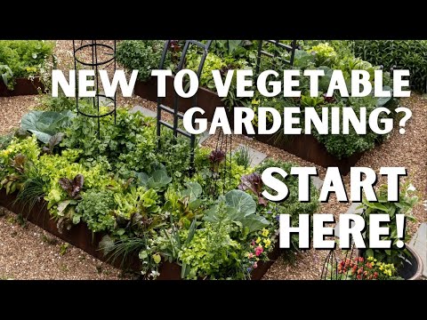 Vegetable Gardening for Beginners