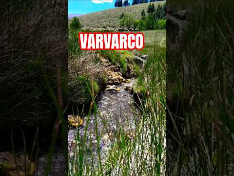 Varvarco Neuquén Aguas calientes