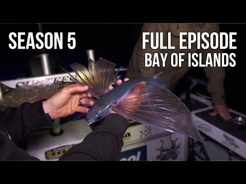 Fishing & Adventure Season 5 EP4 - BAY OF ISLANDS