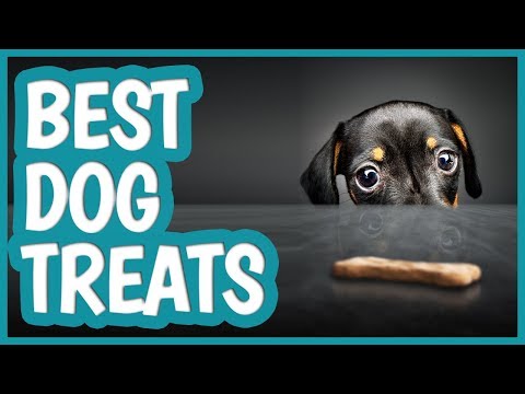 Best Dog Treat in 2019 | TOP 10 Dog Treats