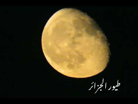 Ain-Taya Le 24/07/2024 La luna de Ain-Taya