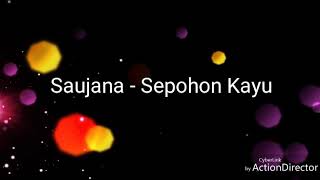 Download lagu Saujana - Sepohon Kayu mp3 Download lagu Saujana - Sepohon Kayu mp3