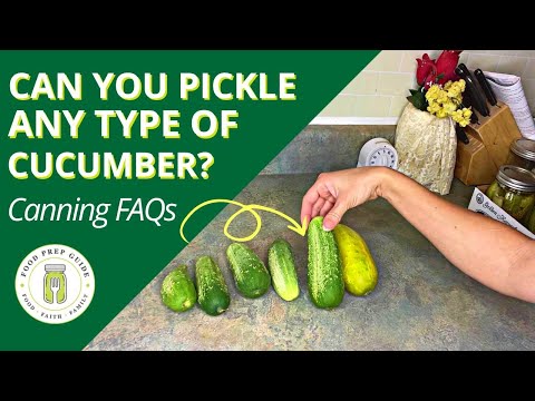 Can You Pickle Any Kind of Cucumber?