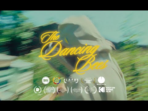 The Dancing Bees (Remaking from without music for copyright)