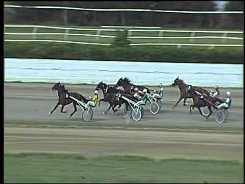 Trotto 24/09/2015 - 1° prova di qualifica