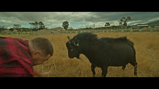 Greeley - Don't Bait The Goat