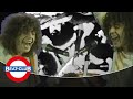 T. Rex - Jewel (1971)