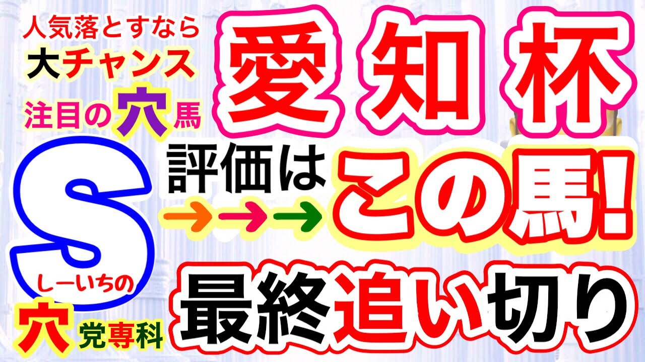 【愛知杯2026】穴党専科しーいちの最終追い切り評価、人気割れ気味も瞬発力勝負か？それとも先行有利の展開なのか？注目の穴馬１頭