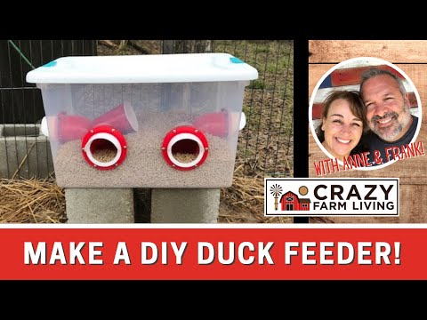 , title : 'How to Make a DIY Duck Feeder'