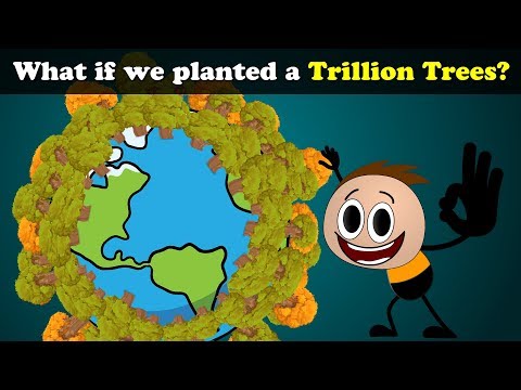 What if we planted a Trillion Trees? | #aumsum