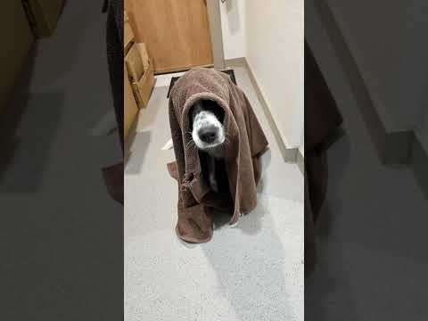 Chanson : Hélios, mon phare 