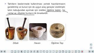 Eğitim Vadisi 9.Sınıf Tarih 4.Föy İnsanlığın İlk İzleri Konu Anlatım Videoları