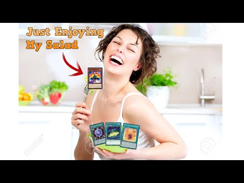 UNDEFEATED SALAMANGREAT DECK - Yu-Gi-Oh Decksploration - Locals Vlog