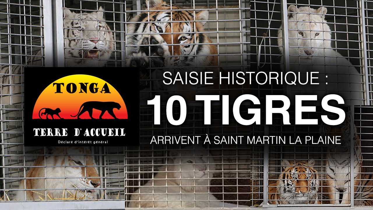Reduction Billet Zoo Saint Martin La Plaine