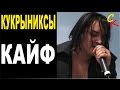 КАЙФ - Кукрыниксы (А.Горшенёв) Бой+ПРАВИЛЬНЫЕ аккорды (КАВЕР) 