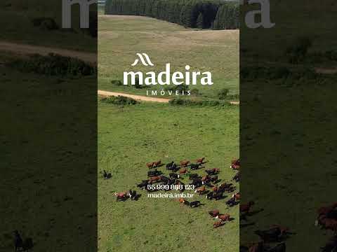 Fazenda de 926 ha com água garantida em Lavras do Sul na divisa com São Gabriel - Rio Grande do Sul