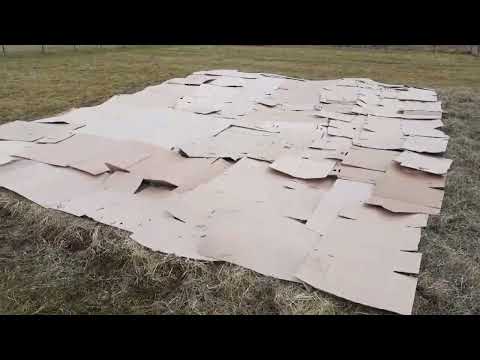 1. rész - Mélymulcs előkészítése novemberben