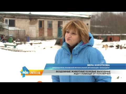 Новости Псков 05.12.2016 # Помощь Зоозащите 