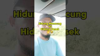 Download lagu Hidung mancung vs hidung pesek, mana yang lebih unggul? | LUCU mp3