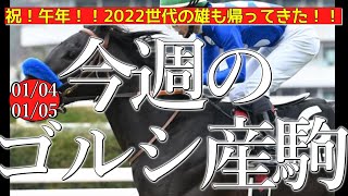 今週のゴールドシップ産駒 (01/04,05)【祝！午年！！2022世代の雄も帰ってきた！！／タイセイリコルド,ウイントレメンデスなど】