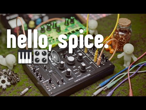 Hello Spice: Unboxing Plankton Electronic's semi-modular saturation unit