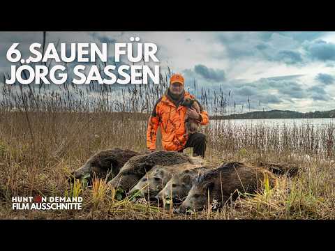 Sau auf See mit Jörg Sassen – Ausschnitte aus dem @huntondemand Drückjagdmärchen von @jagenNRW