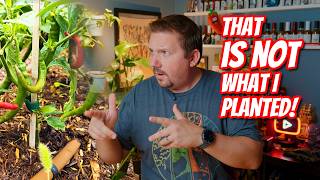 Why Did My Garden Grow Some Weird Peppers?