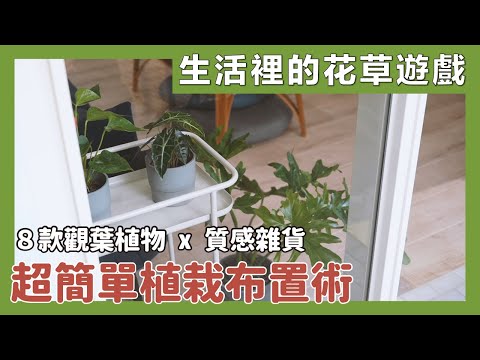 原來適合放在室內的觀葉植物有這些，我終於知道該怎麼改造自己家了！