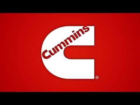 Cummins Diversity Procurement - Priscila Mendes, South America ABO Purchasing Leader