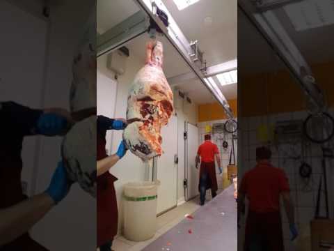Da vermi in sangue Come definire la presenza di vermi a neonati