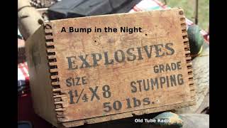 Inspector Purbright Mysteries - A Bump in the Night