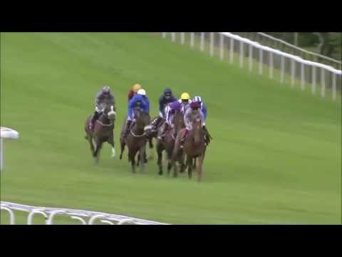 Sussex Stakes 2016 - The Gurkha