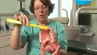 SANTE BUCCO DENTAIRE